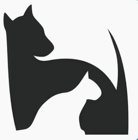 One Step Beyond Dog Walking